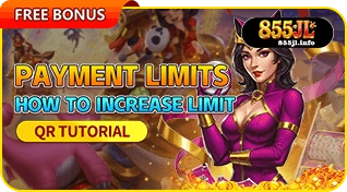 855JL secure payment options and limits using Maya